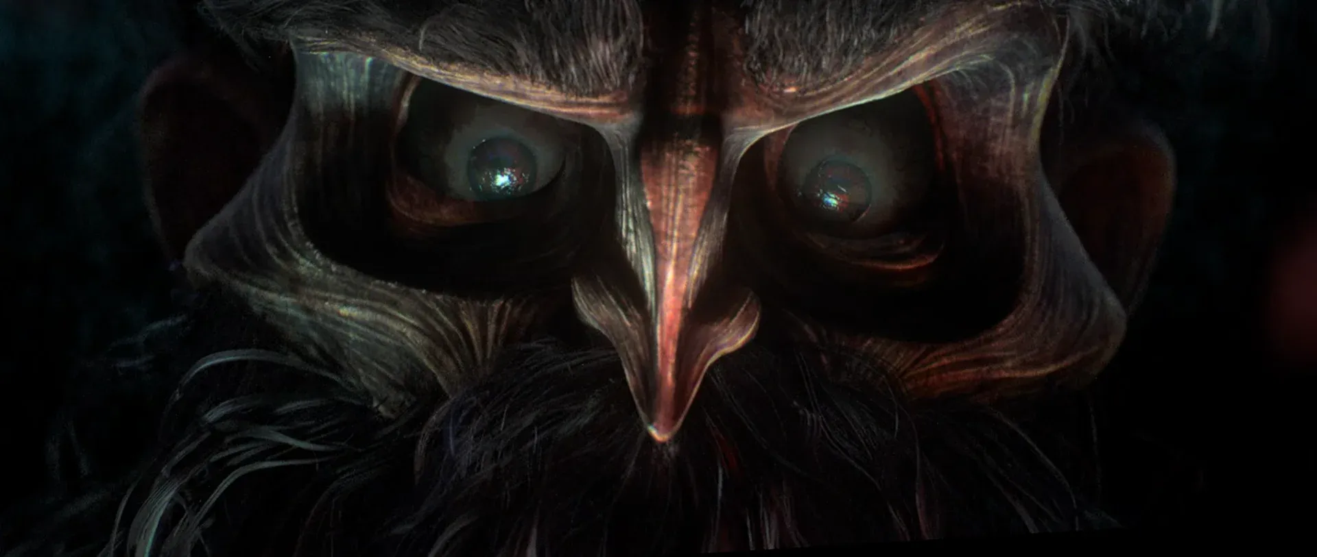 Le Roi Tulipe — image du film